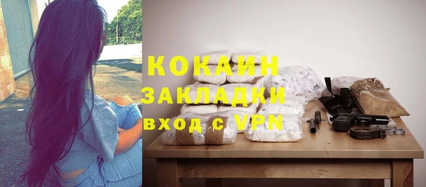 бошки Новодвинск