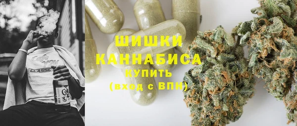 бошки Новодвинск