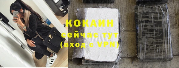 бошки Новодвинск